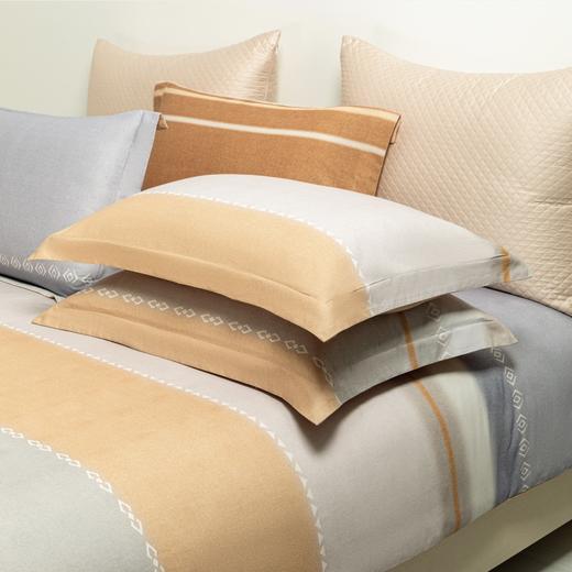 【春上新】10楼堂皇  全棉磨毛印花四件套--凯纳  吊牌价1690元  活动价299-399元 商品图5