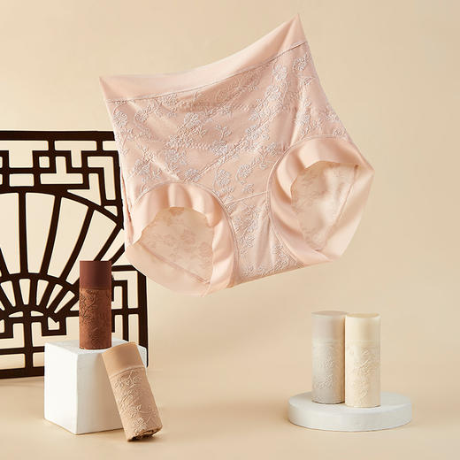 轻奢浮雕提花轻塑裤5条装 高腰轻塑收腹版型 升级加长裆 100A高效抑菌  TS9008 商品图6