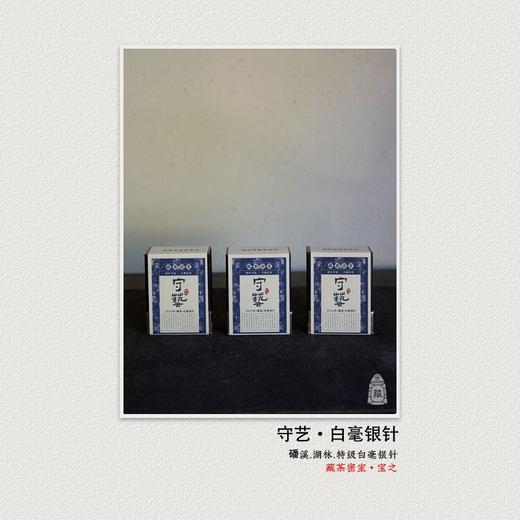 藏白毫银针 2022年磻溪湖林电焙炭焙日晒银针 福鼎白茶 商品图0