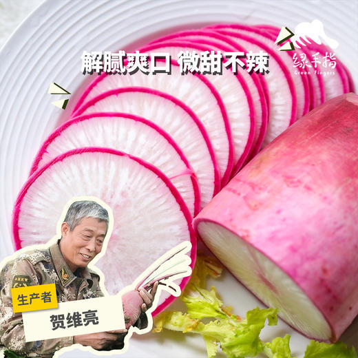 生态水果萝卜（申通快递） | 合作生产*Eco-white radish | Coproduction 商品图0