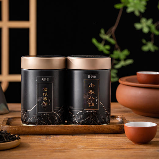 天池韵藏山老枞八仙 | 枞韵深藏，八仙过海各显香韵，农药残留不得检出 商品图3