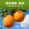 湖南脐橙5斤（直径75-80mm） 商品缩略图1