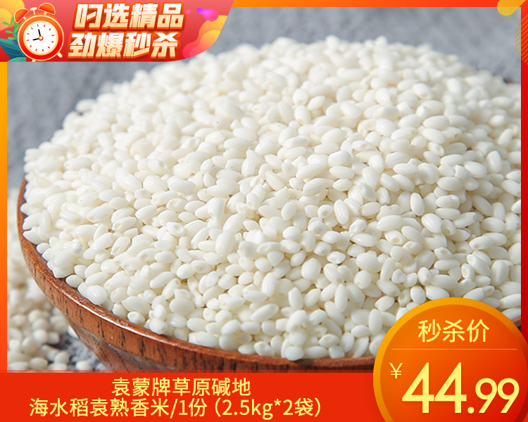 【预售-12月22日配送】袁蒙牌草原碱地海水稻袁熟香米/1份（2.5kg*2袋）生产日期：25年10月