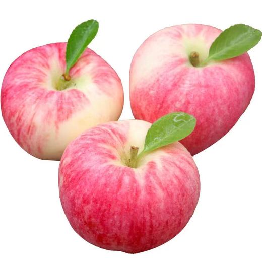 葫芦河静宁苹果12枚装 , 京东顺丰包邮 商品图1