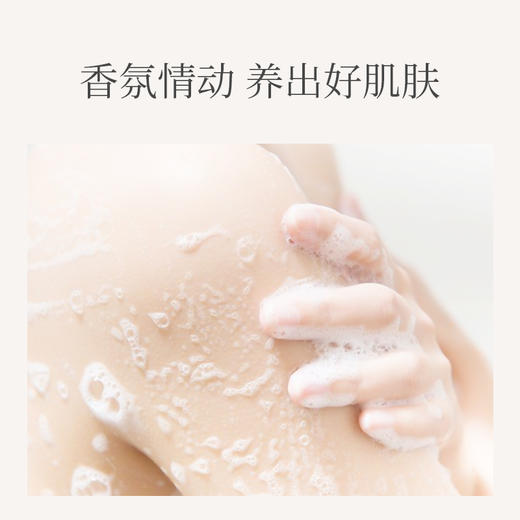 浅香植物氨基酸洗沐家庭套装 750g（洗发水）+750g（沐浴露）+700g（顺滑膏）三件套家庭装 商品图3