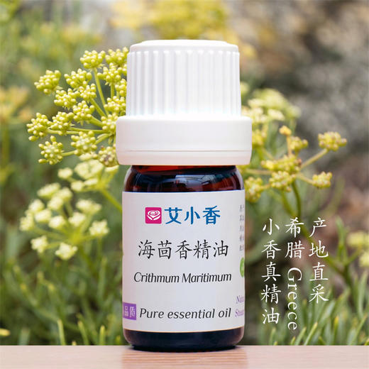 海茴香精油 希腊产地直采 海风的气味海洋气息舒身心 商品图0