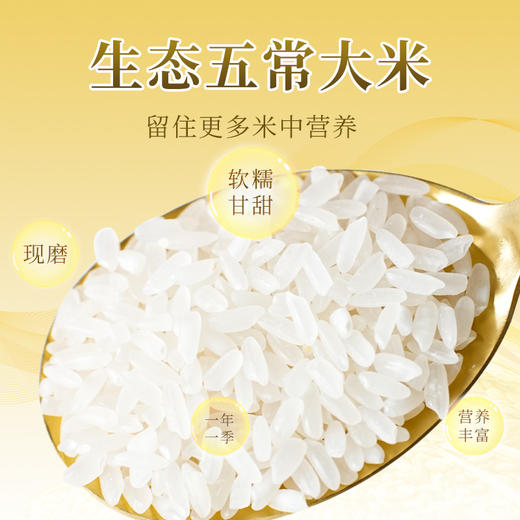 【颗粒饱满香软筋道软糯甘甜】五常大米长粒香大米真空东北大米10斤包邮。jb 商品图1