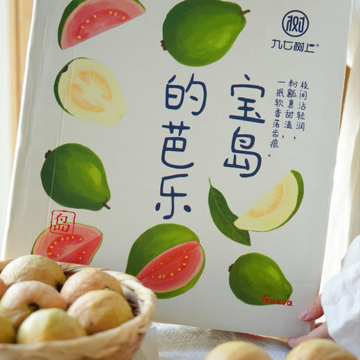 九七树上宝岛的芭乐  红白芭乐礼盒装当季新鲜送礼水果 商品图7