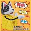 毛绒动物拳击狗互动手偶 玩具手套表演可发声手指哈士奇拳击玩具 商品缩略图2