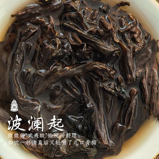 【波澜起】老树肉桂50年树龄武夷正岩中足火炭焙 藏茶密室[督造] 商品图4