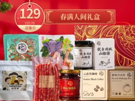 【春满人间】新春限定特别礼盒