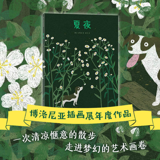 文明诣自然奇遇三部曲：夏夜(（韩）文明诣 著 ) 商品图1