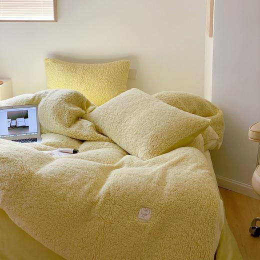 柔软体验感︱ins氛围加厚加密羊驼绒简约四件套冬保暖牛奶绒床品 商品图0