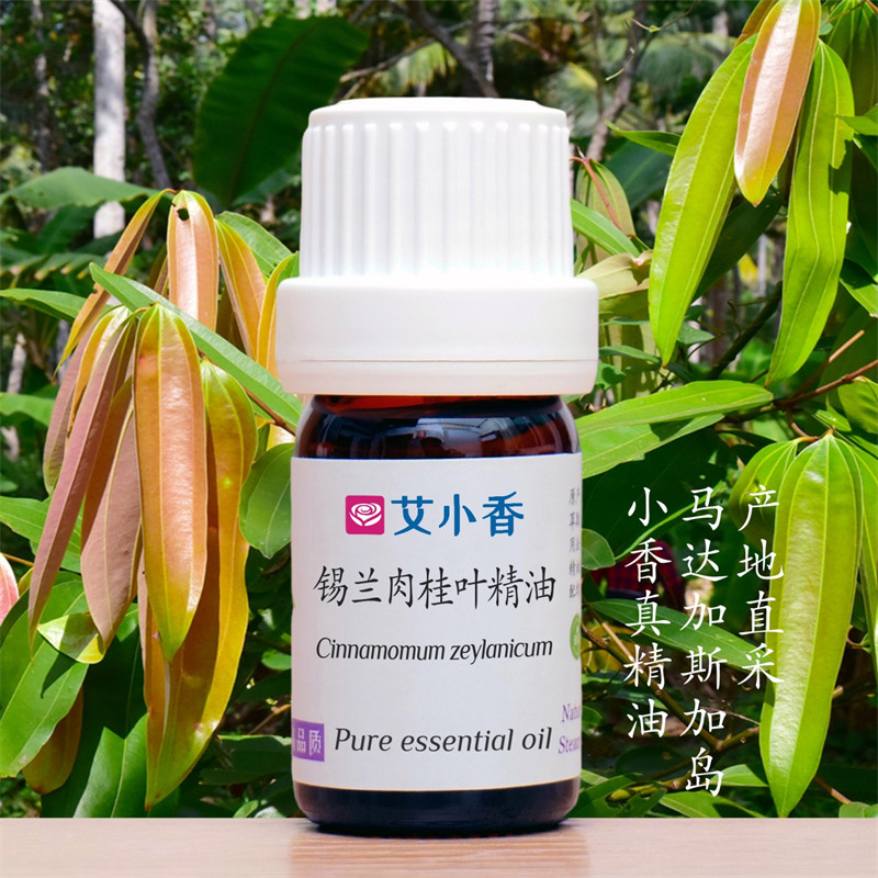 锡兰肉桂叶精油 温暖香氛提振冬日辛香热感 马达加斯加岛产地