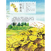《和孩子一起认识中国植物》（全3册） 商品缩略图8