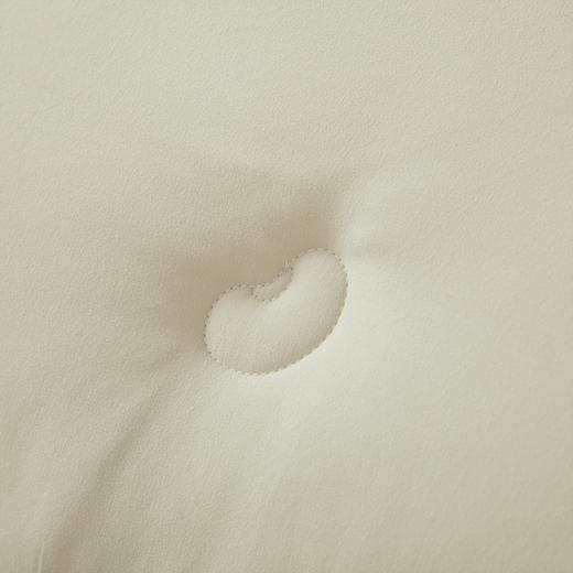 faunen芳恩 FN-B6094黄金大豆春秋被 200×230cm 商品图3