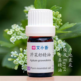芹菜籽精油 埃及产地直采 气味不好闻
