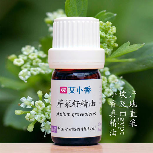 芹菜籽精油 埃及产地直采 气味不好闻 商品图0
