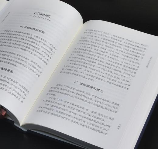 【推荐】阎宗临史学论著三种：《欧洲文化史论》+《世界古代中世纪史》+《中西交通史》，16开，布面精装，阎宗临著，三晋出版社2015年一版一印，414+352+404页，三册总定价：314元 商品图14