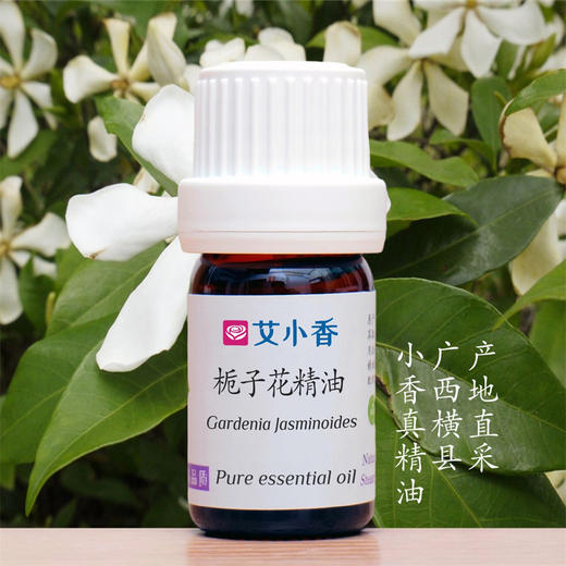 栀子花精油 花香雅致浪漫 柔美香氛好闻 广西横县产地「不送精油」 商品图0
