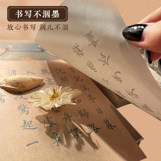 墨点墨香盈袖簪花小楷钢笔式毛笔临摹练字帖成人软笔书法练字专用初学者唐诗宋词入门套装楷书宣纸描红练习 商品图6