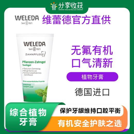 【品牌旗舰】WELEDA维蕾德  综合植物牙膏75ml 有机 无氟 商品图0