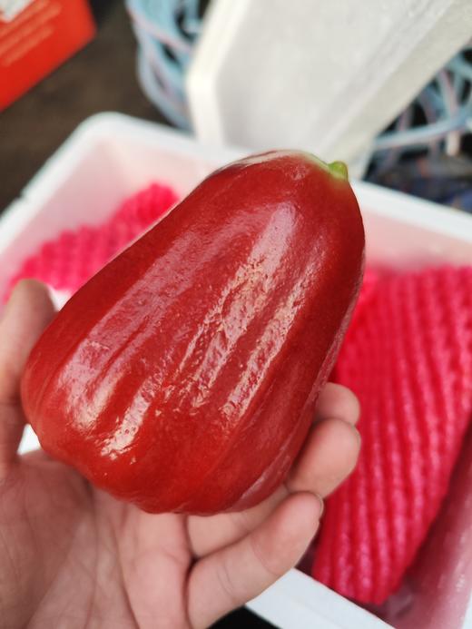 海南补水莲雾特大果，脆爽多汁，清脆爽甜 商品图7