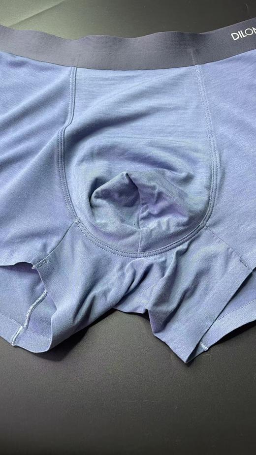 （秒杀39元3条）只有L码80支莫代尔棉棉男士内裤（多款可选） 商品图1