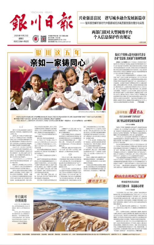 2026年度《银川日报》 商品图0
