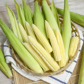 【带皮玉米笋】拥有独特清香，脆甜多汁，鲜嫩可口，连籽带穗食用更美味