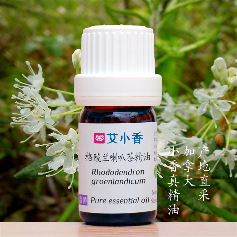 格陵兰喇叭茶精油 加拿大产地直采