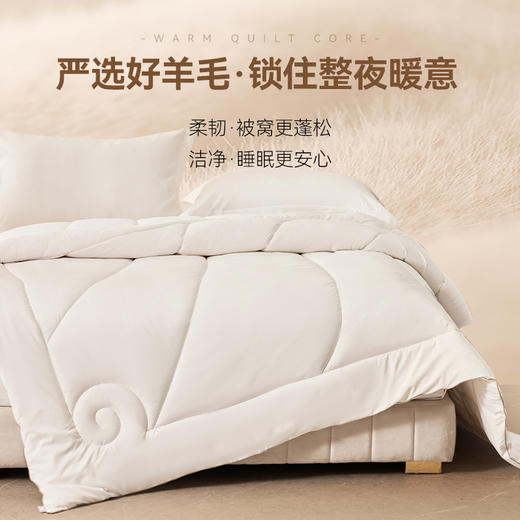 多喜爱 暖阳澳洲纯羊毛冬被【100%澳洲进口羊毛】【磨绒面料】蓄热保暖  精美织带 烫钻工艺 商品图1