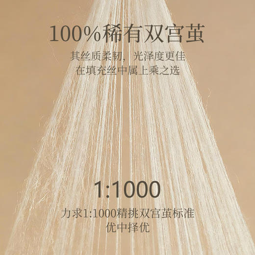雅芳婷双宫蚕丝被100%桑蚕丝四季被抑菌防螨冬被四季通用被子被芯 商品图1