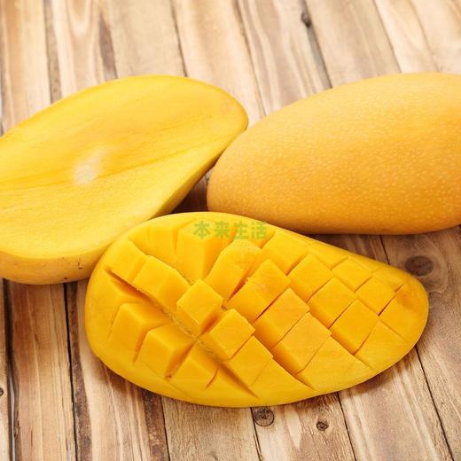 【本来优选】精品金煌芒礼盒装2.5kg套袋种植 不打催熟剂 4-6个大芒果 海南热带水果云仓 商品图2