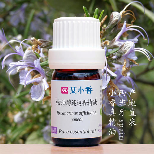 桉油醇迷迭香精油 西班牙产地直采 清爽提振香气晨间活力香氛 商品图0