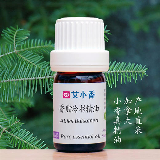 香脂冷杉精油 加拿大产地直采 松柏森林木香四溢 顺畅呼吸香薰 商品图0