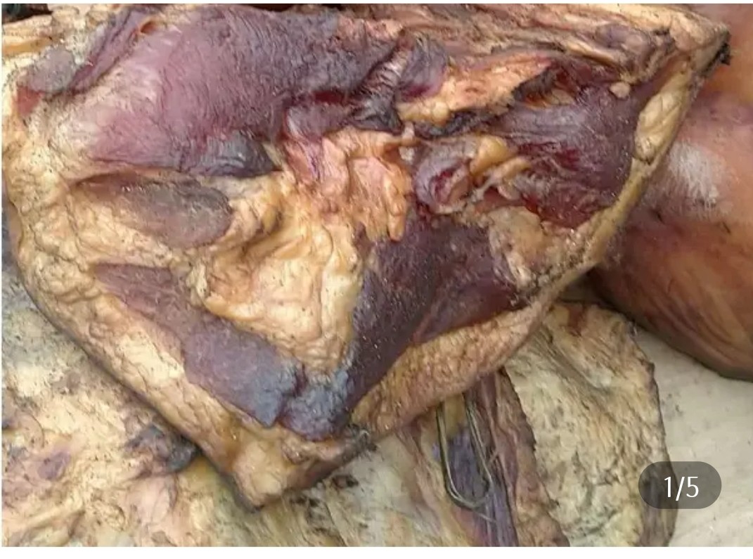 腊味黄金座500克