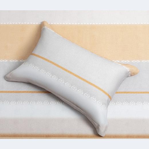 【春上新】10楼堂皇  全棉磨毛印花四件套--凯纳  吊牌价1690元  活动价299-399元 商品图4