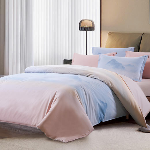 鑫缘 全棉印花四件套 DMD7418 商品图2