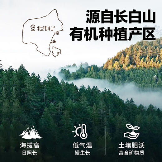 雷允上有机破壁灵芝孢子粉50g礼盒 商品图3