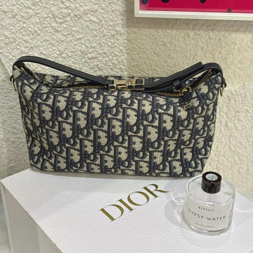 Dior Travel Nomad 饭盒 手提包 商品图1