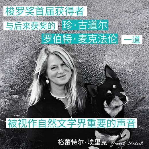 旷野的慰藉【新经典】 商品图2