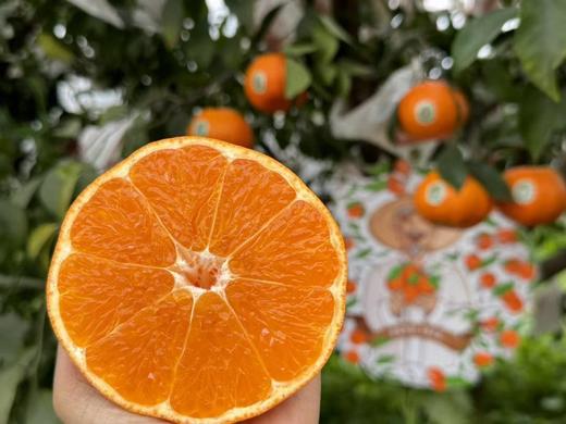 明日见-阿斯蜜柑礼盒/桔子   口感浓甜，部分果子仅带轻微果酸，汁水足 商品图2