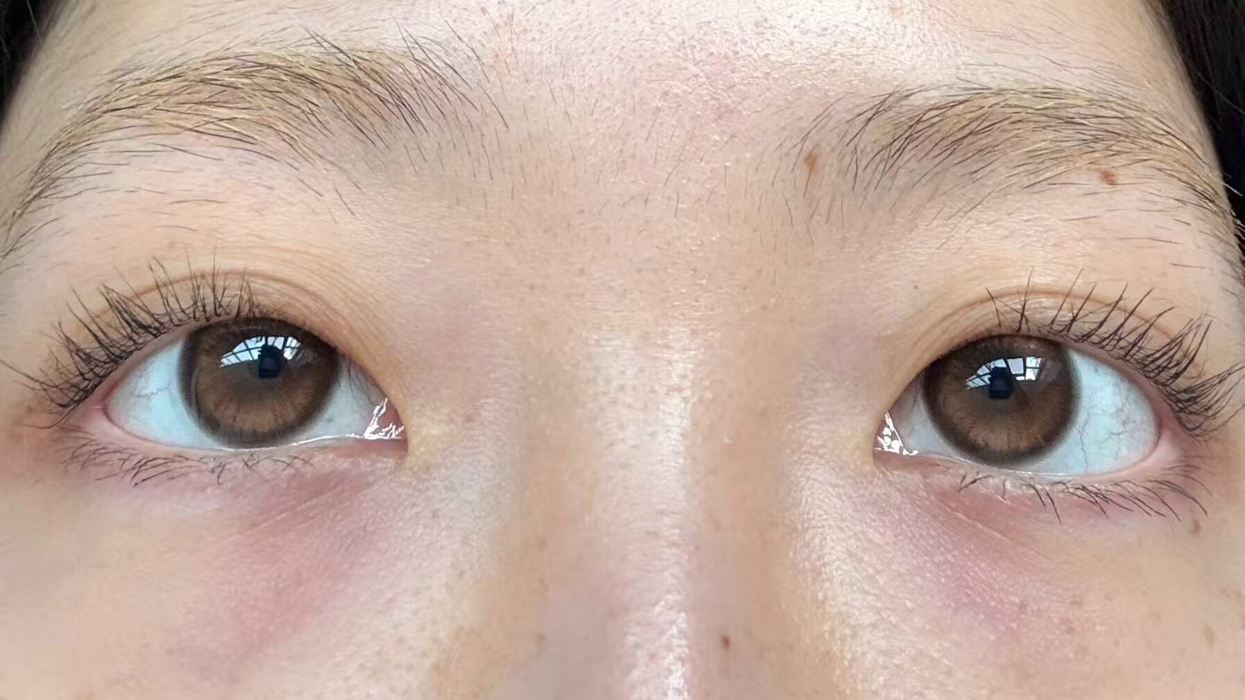 liliyacon半年抛美瞳 落日松木 14.2mm