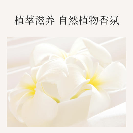 浅香植物氨基酸洗沐家庭套装 750g（洗发水）+750g（沐浴露）+700g（顺滑膏）三件套家庭装 商品图4