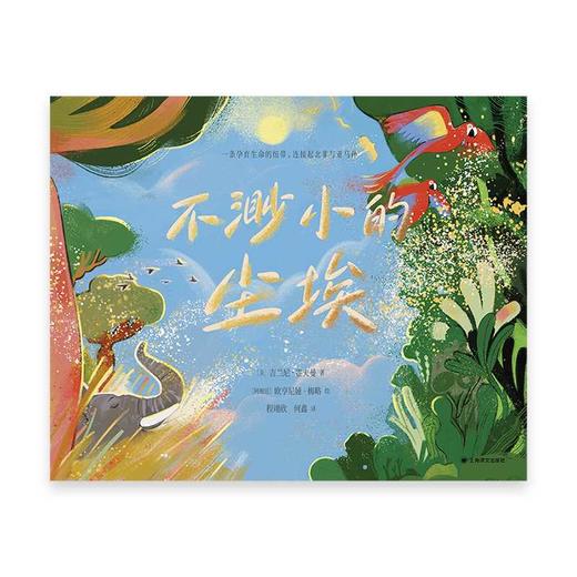 不渺小的尘埃 商品图1