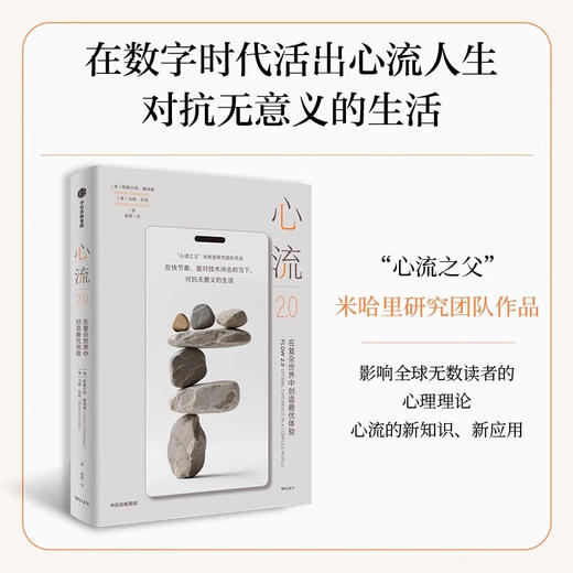 心流2.0 在复杂世界中创造最优体验（WX） 商品图0