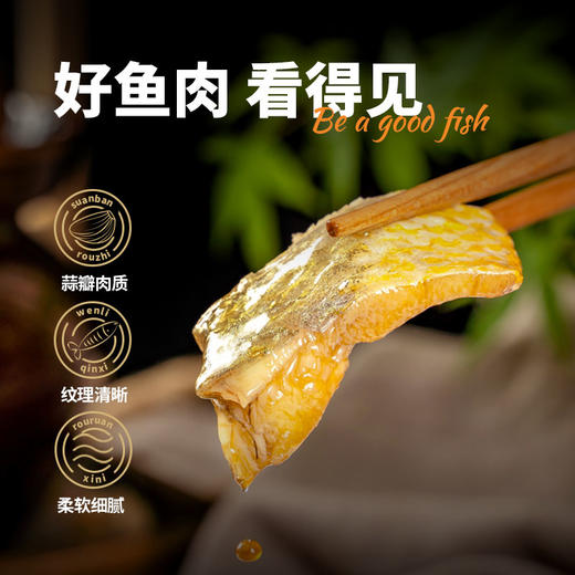【顺丰冷链发货】醇香黄鱼鲞 活鱼捕捞 新鲜制作 微盐调味 鲜香可口 真空包装发货 产地直发 商品图1