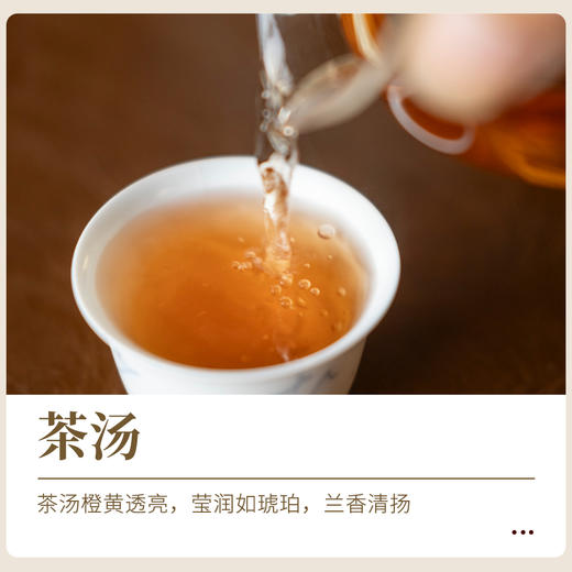 【玩料家】硬14g 商品图3