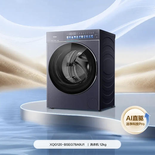 海尔（Haier）洗衣机 XQG120-BSEG78A9U1 商品图5